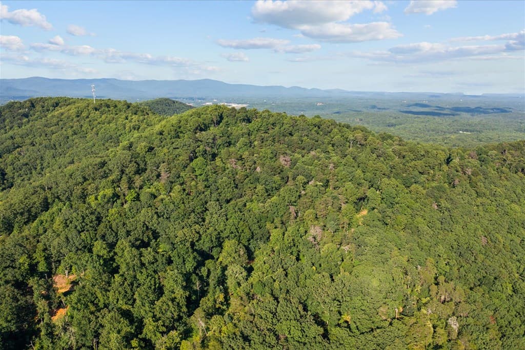 Lot 4-5 Firetower Road, Jasper GA 30143 - Photo