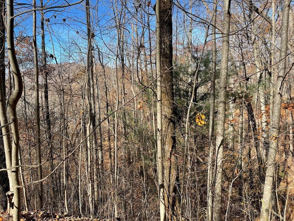Lot 49J Indian Trail, Hayesville NC 28904 - Photo