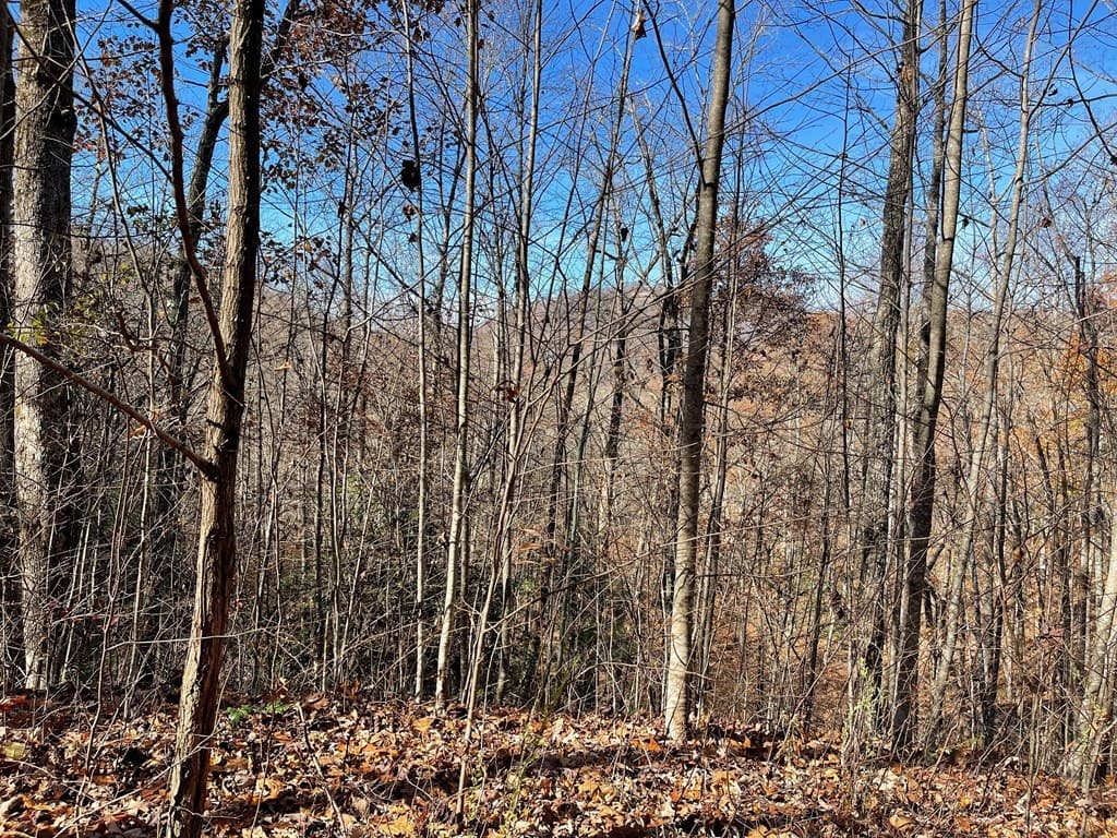 Lot 49J Indian Trail, Hayesville NC 28904 - Photo