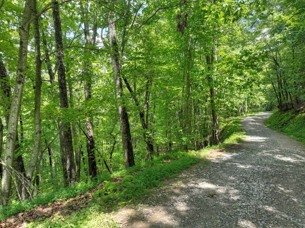 LOT 20 Locust Lane, Morganton GA 30560 - Photo