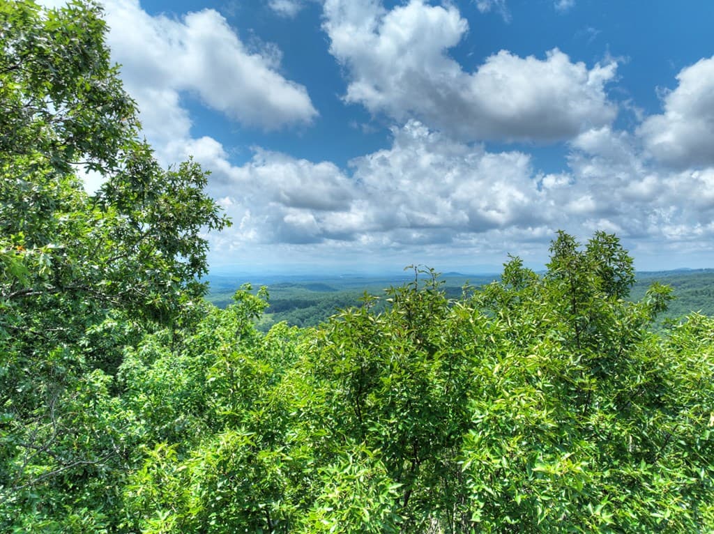 LOT 20 Locust Lane, Morganton GA 30560 - Photo