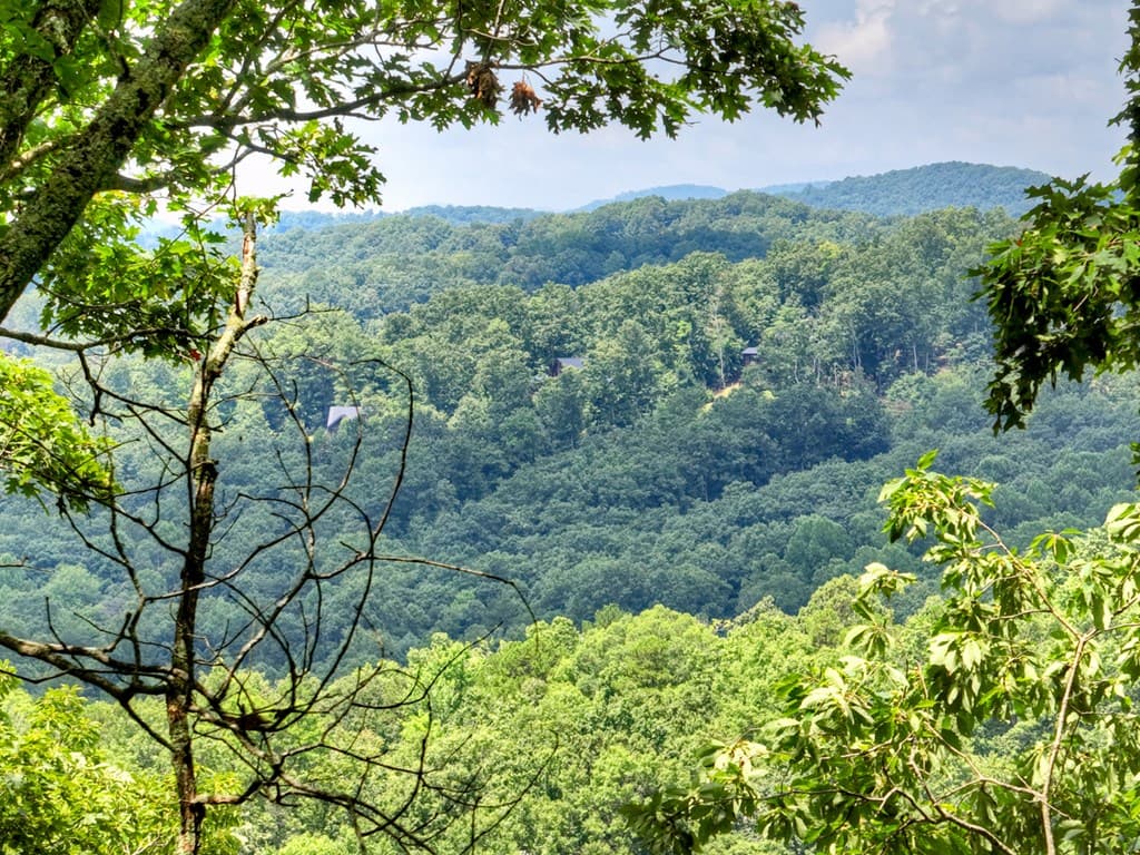 LOT 20 Locust Lane, Morganton GA 30560 - Photo