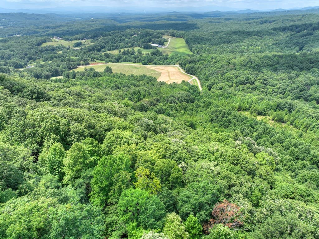 LOT 20 Locust Lane, Morganton GA 30560 - Photo