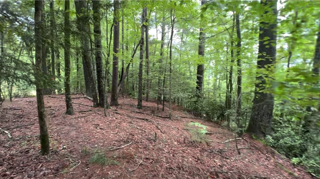 940 Fir Lane, Ellijay GA 30540 - Photo