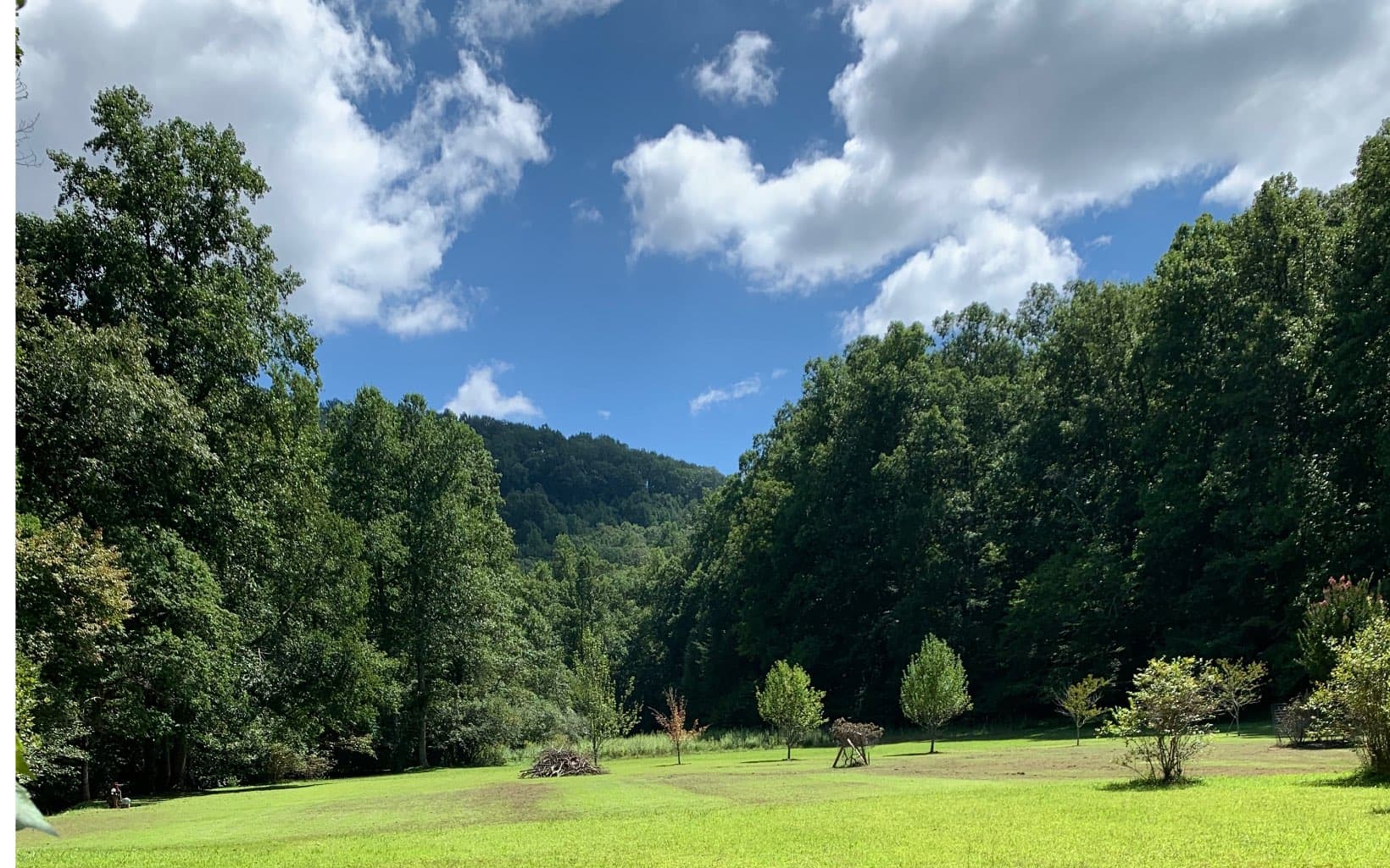 LOT20 Bryant Cove Road, Blairsville GA 30512 - Photo