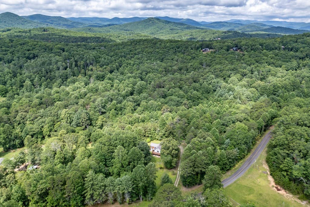 411 Piney Acres Road, Blue Ridge GA 30513 - Photo