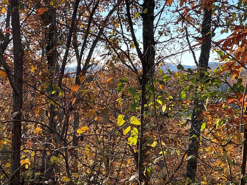 Lot 37M Ridges Overlook, Hayesville NC 28904 - Photo