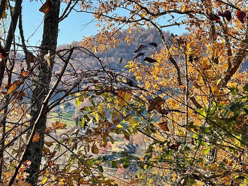 Lot 37M Ridges Overlook, Hayesville NC 28904 - Primary photo