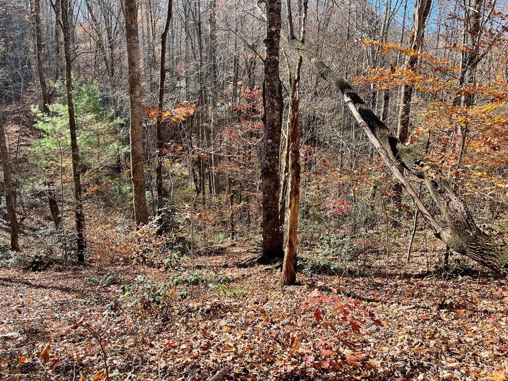 TBD Ashe Knob Drive, Hayesville NC 28904 - Photo