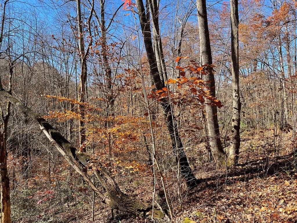 TBD Ashe Knob Drive, Hayesville NC 28904 - Photo