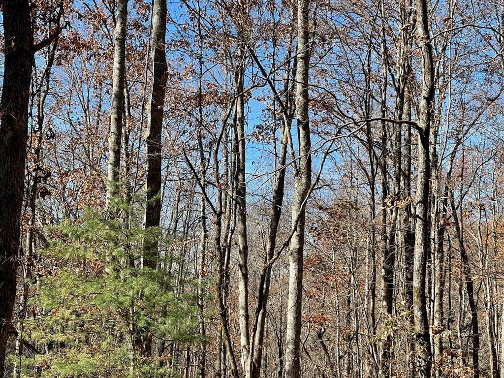 TBD Ashe Knob Drive, Hayesville NC 28904 - Photo