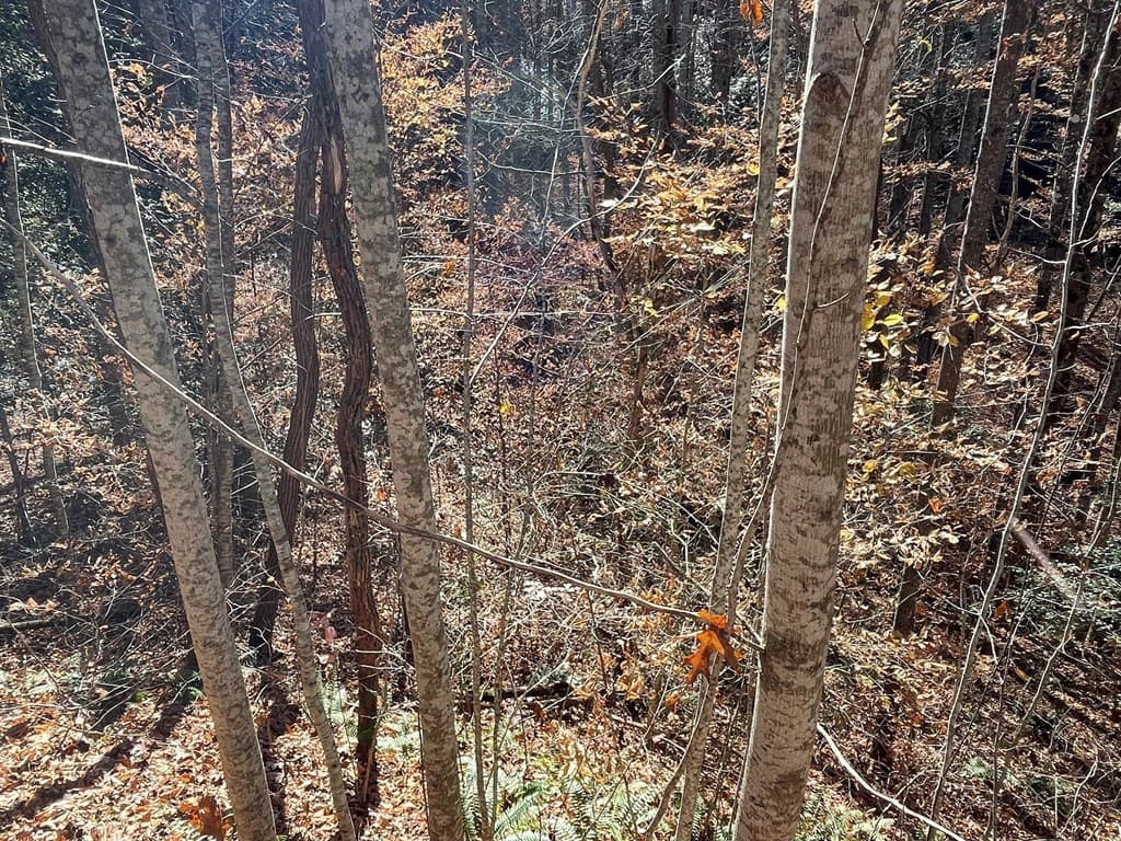 TBD Ashe Knob Drive, Hayesville NC 28904 - Photo