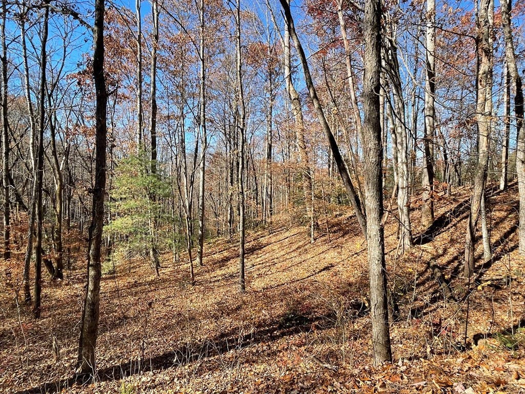 TBD Ashe Knob Drive, Hayesville NC 28904 - Photo