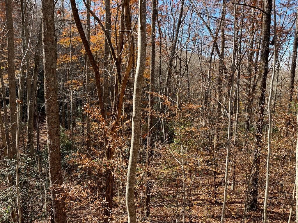 TBD Ashe Knob Drive, Hayesville NC 28904 - Photo