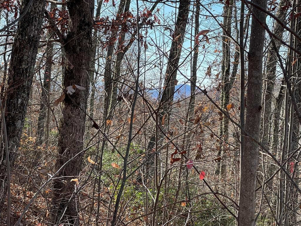 TBD Ashe Branch View, Hayesville NC 28904 - Photo