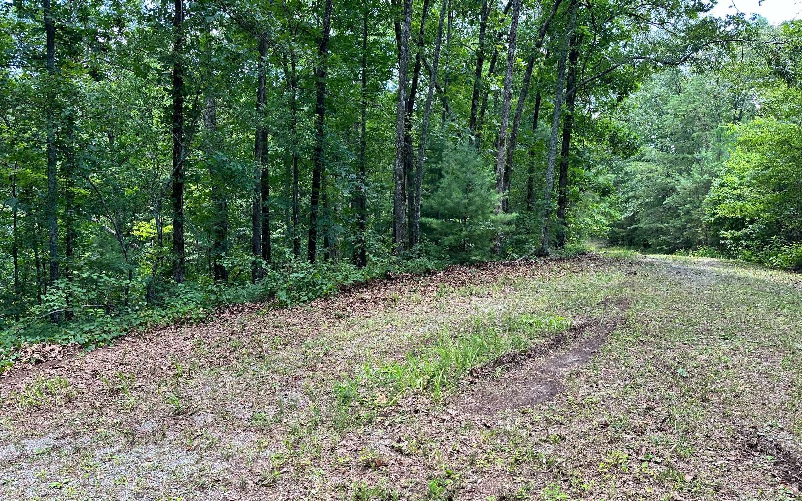 LT 1719 Rebekah Ridge Road, Talking Rock GA 30175 - Photo