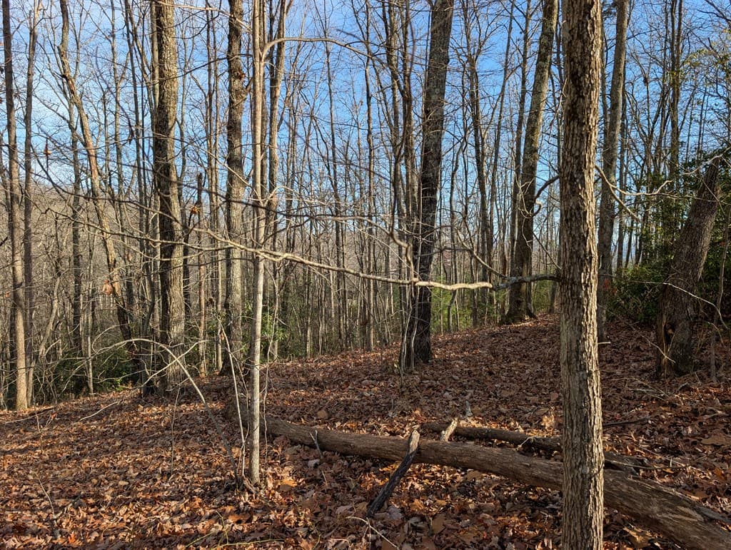 Lot 20 Wilderness Creek Way, Murphy NC 28906 - Photo