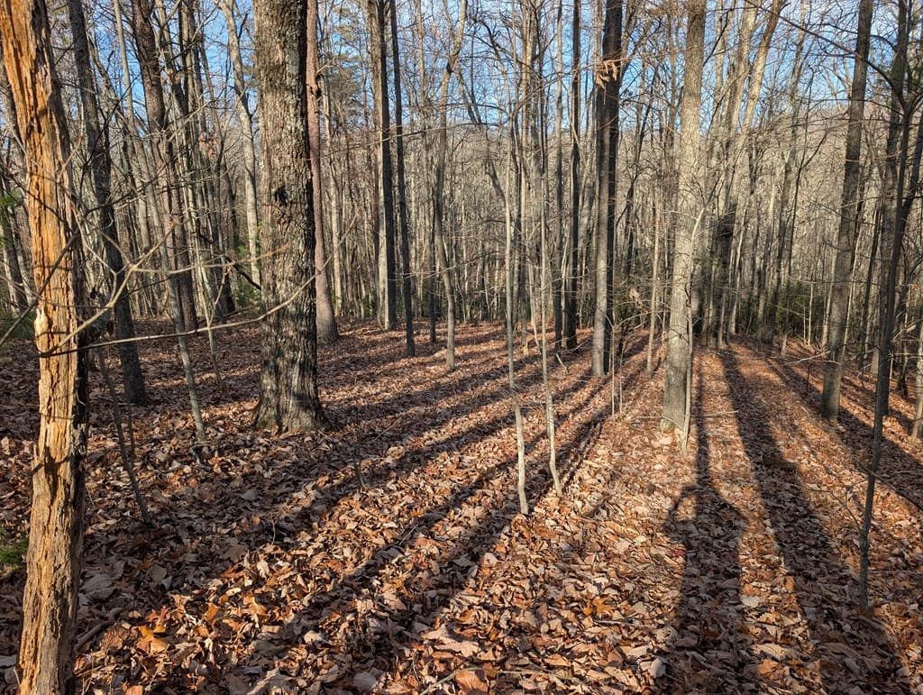 Lot 20 Wilderness Creek Way, Murphy NC 28906 - Photo