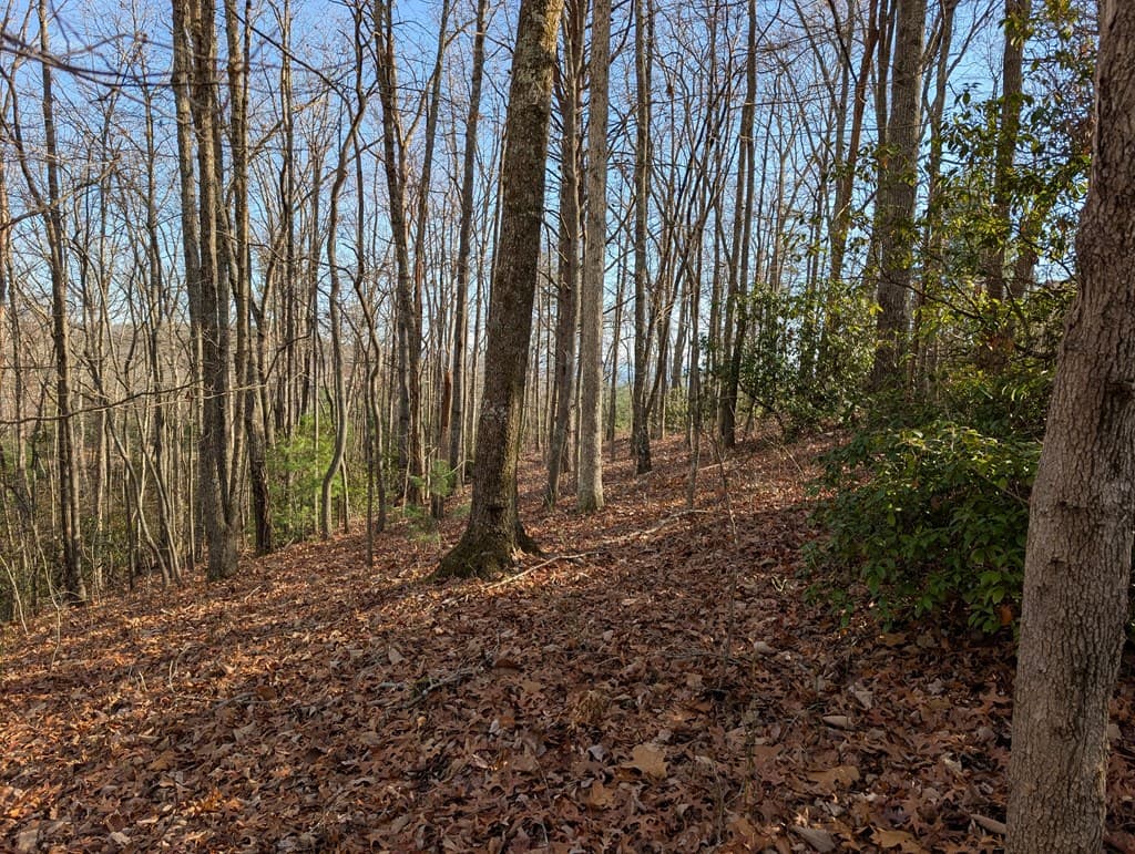 Lot 20 Wilderness Creek Way, Murphy NC 28906 - Photo