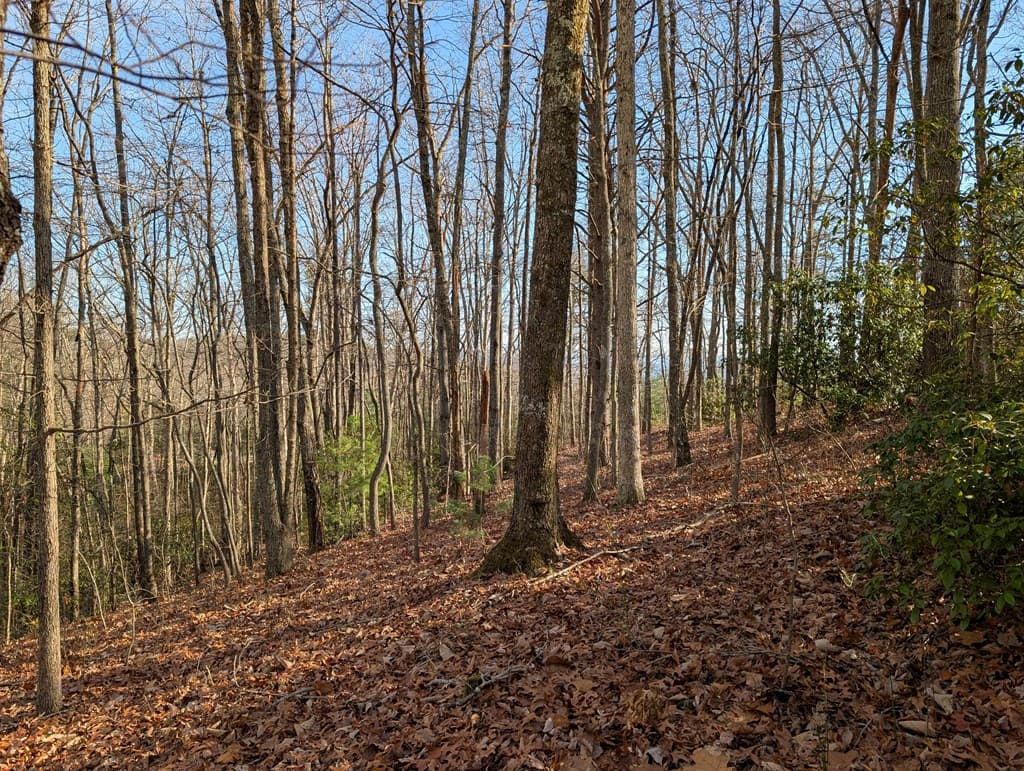 Lot 20 Wilderness Creek Way, Murphy NC 28906 - Photo