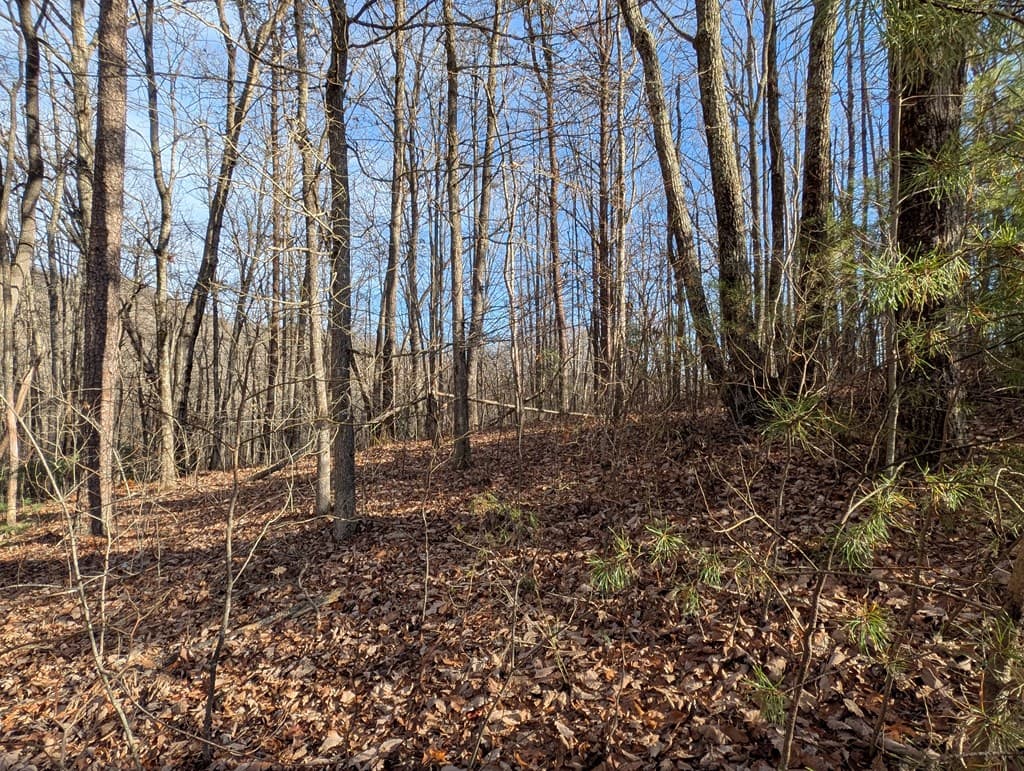 Lot 20 Wilderness Creek Way, Murphy NC 28906 - Photo