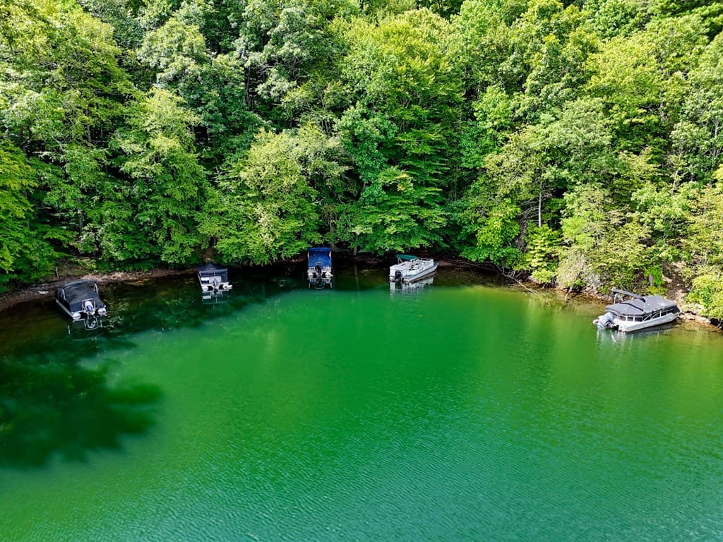 371 Wilderness Lake Drive, Murphy NC 28906 - Photo