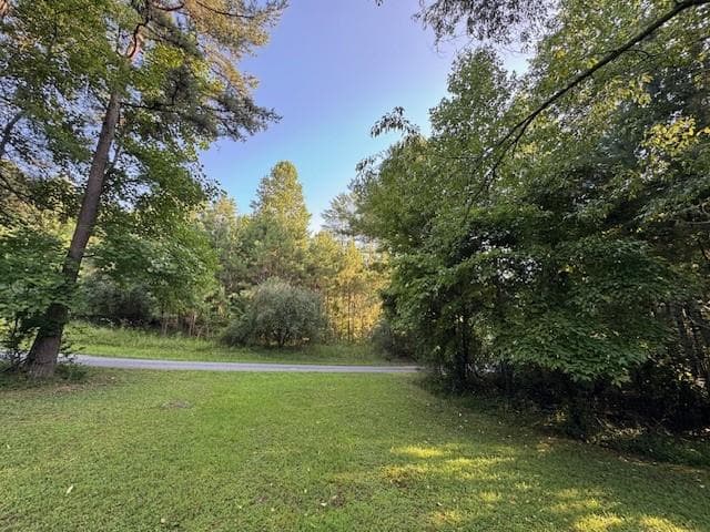1.18 Newberry Drive, Mineral Bluff GA 30559 - Primary photo