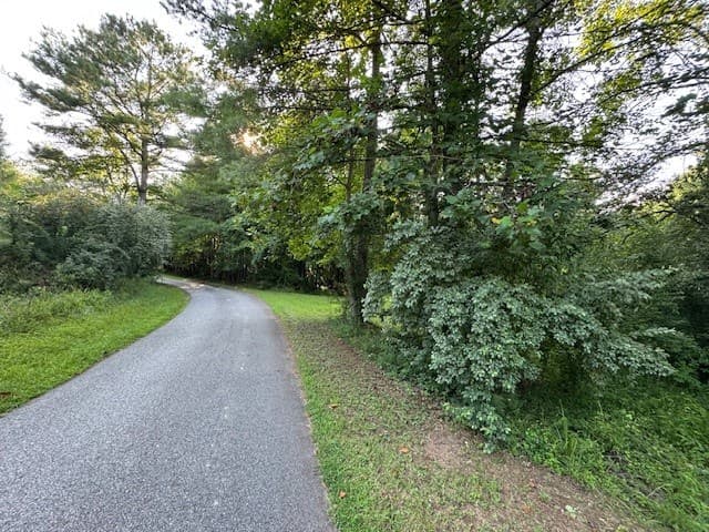 LT 1 Newberry Drive, Mineral Bluff GA 30559 - Photo