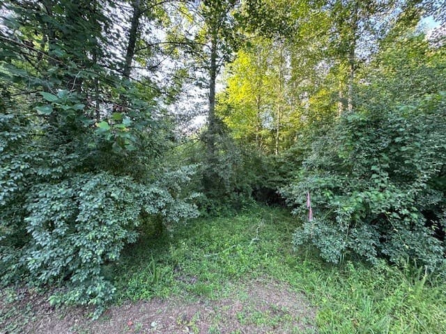 LT 1 Newberry Drive, Mineral Bluff GA 30559 - Photo