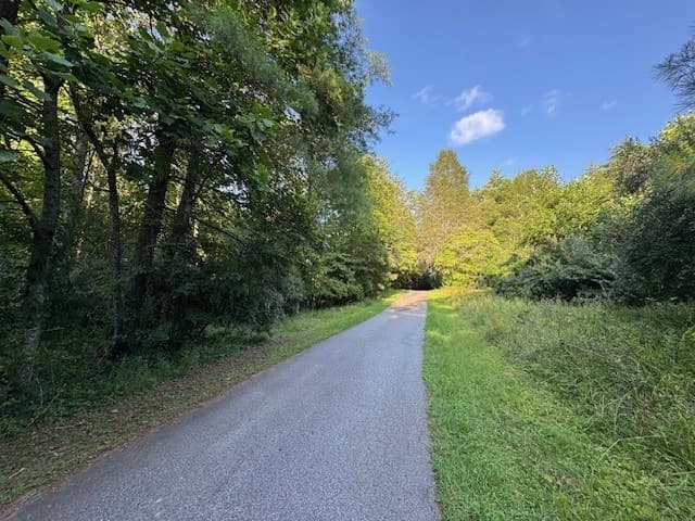 LT 1 Newberry Drive, Mineral Bluff GA 30559 - Photo