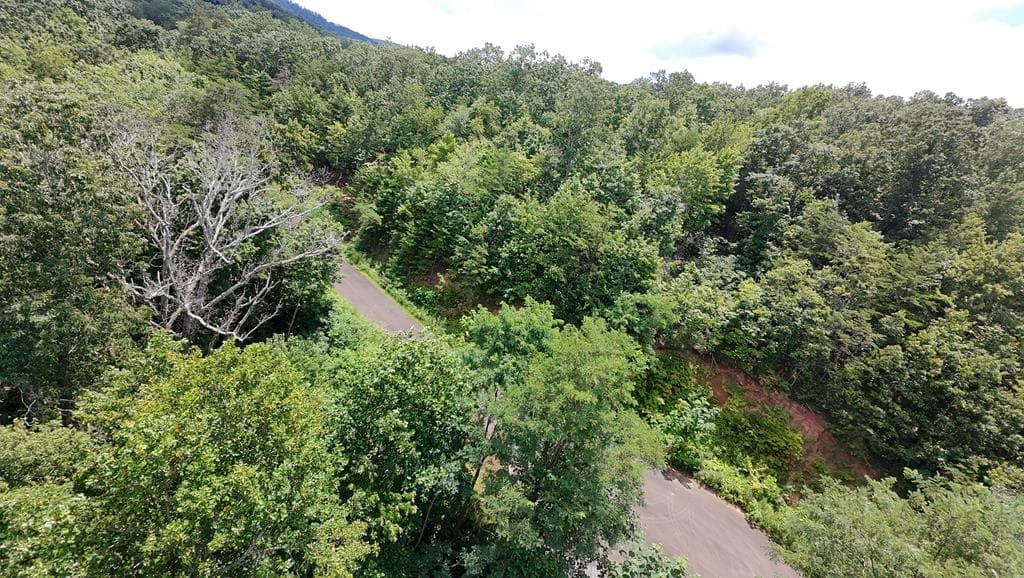 260 Running Bear Lane, Ellijay GA 30536 - Photo