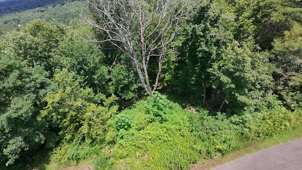 260 Running Bear Lane, Ellijay GA 30536 - Photo