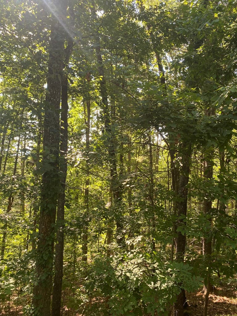 Lot 47 Mountain Top, Blairsville GA 30512 - Photo