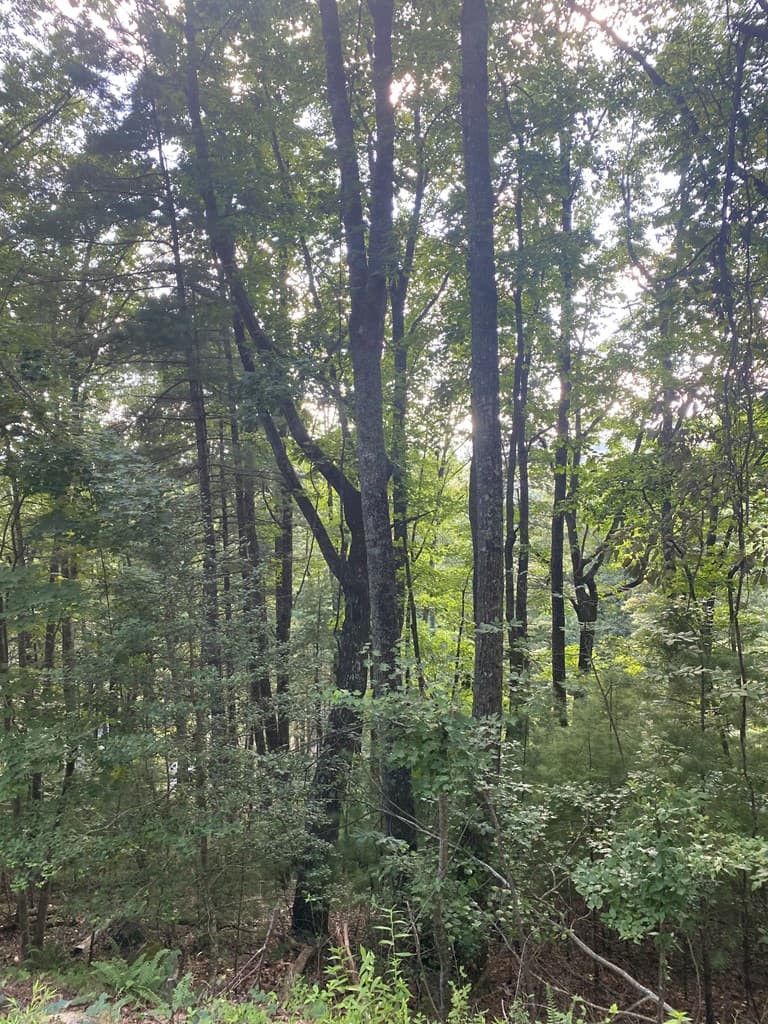 Lot 47 Mountain Top, Blairsville GA 30512 - Photo