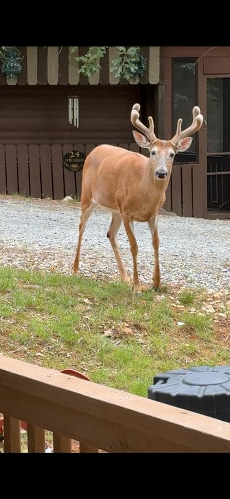25 15th Street, Ellijay GA 30540 - Photo