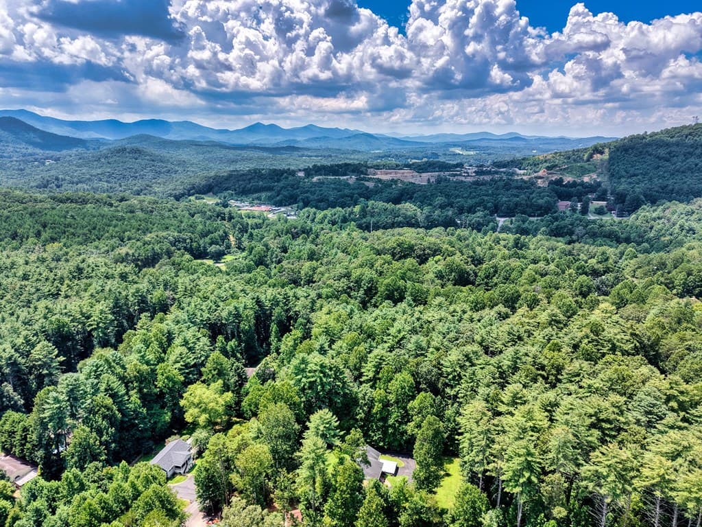 L 10&16 Josie Drive, Blairsville GA 30512 - Photo