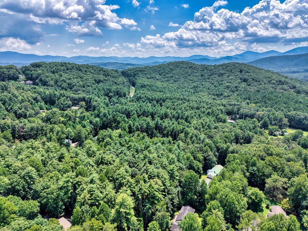L 10&16 Josie Drive, Blairsville GA 30512 - Photo