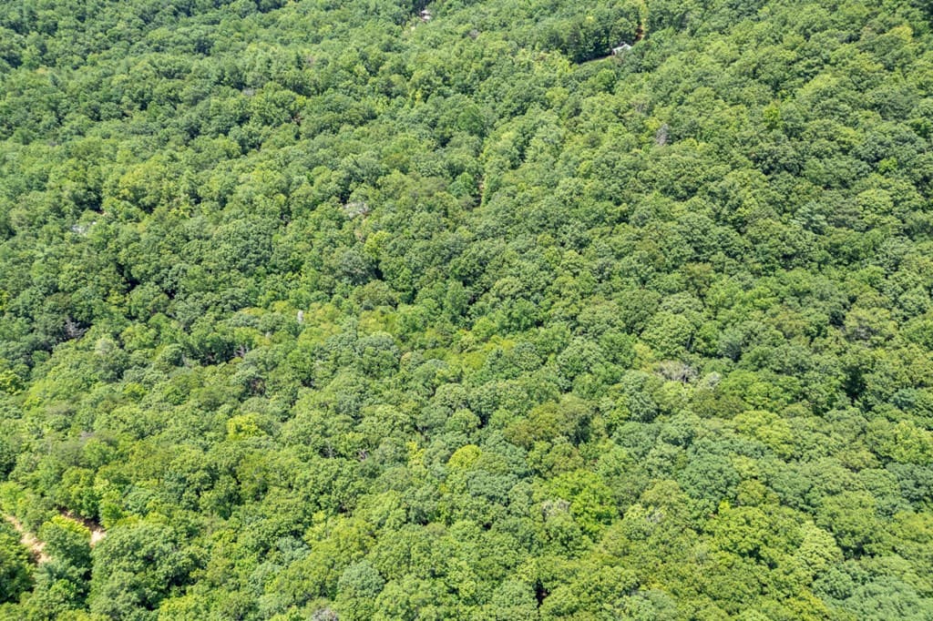 Lot 56 Indian Rock Springs, Murphy NC 28906 - Photo