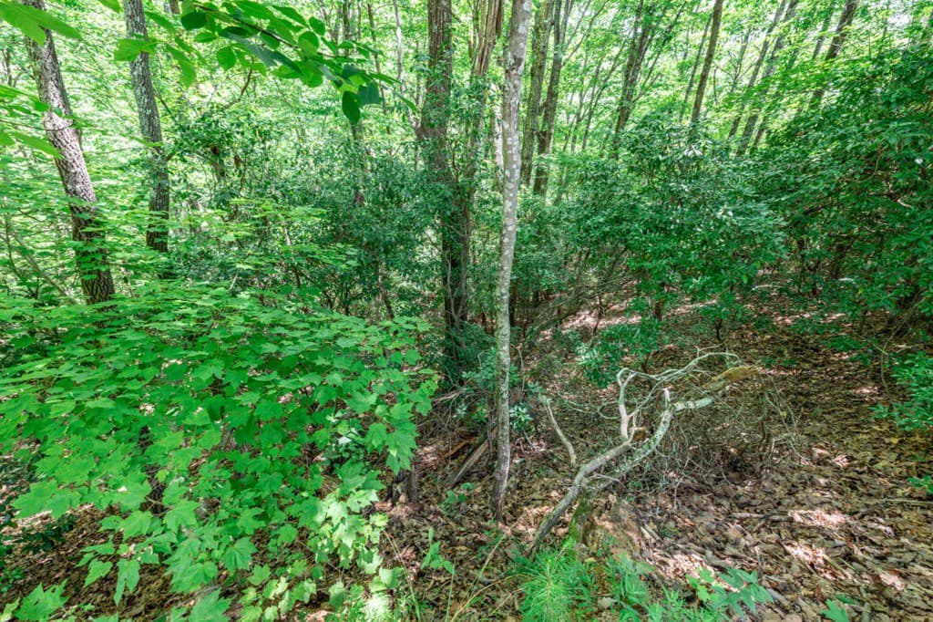 Lot 56 Indian Rock Springs, Murphy NC 28906 - Photo