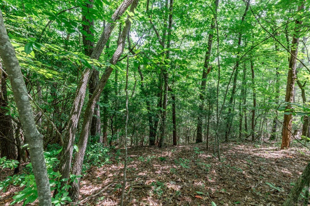 Lot 56 Indian Rock Springs, Murphy NC 28906 - Photo