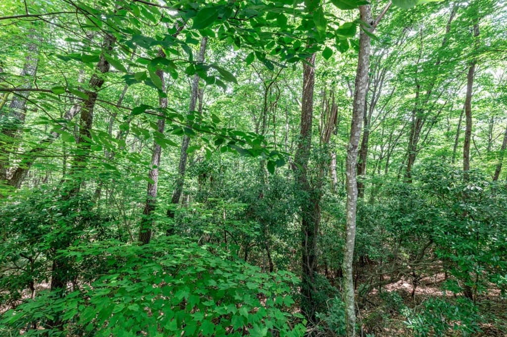 Lot 56 Indian Rock Springs, Murphy NC 28906 - Photo