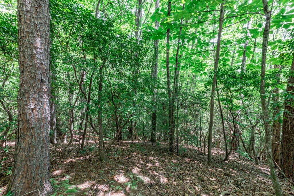 Lot 56 Indian Rock Springs, Murphy NC 28906 - Photo