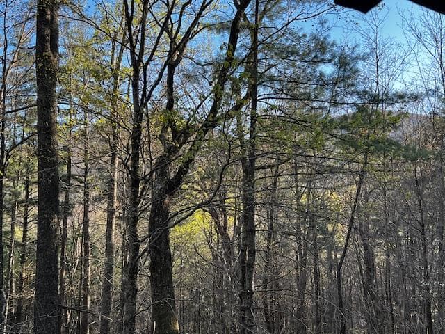 100 Reddick Drive, Blairsville GA 30512 - Photo