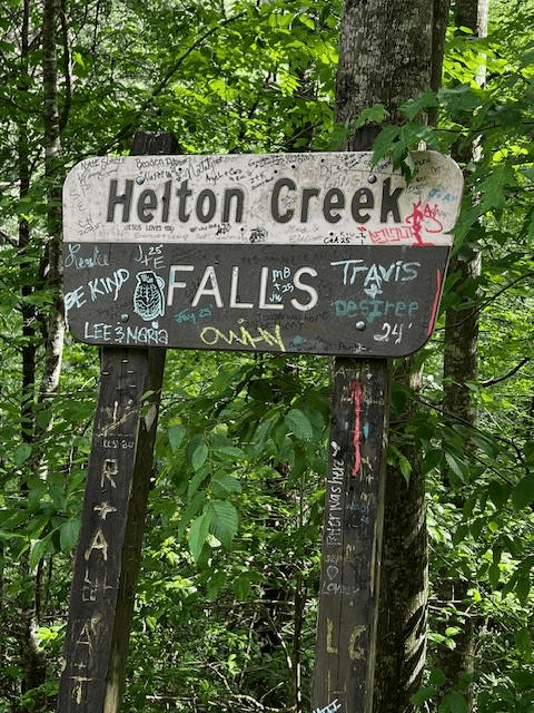 100 Reddick Drive, Blairsville GA 30512 - Photo