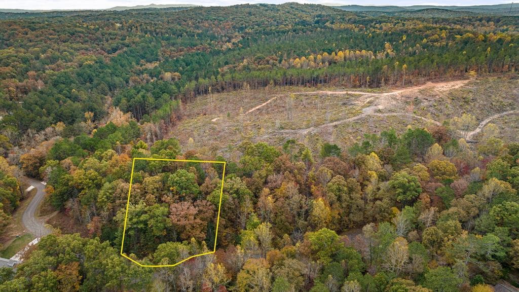 LOT 49 Lower Creek Trail, Ellijay GA 30540 - Photo