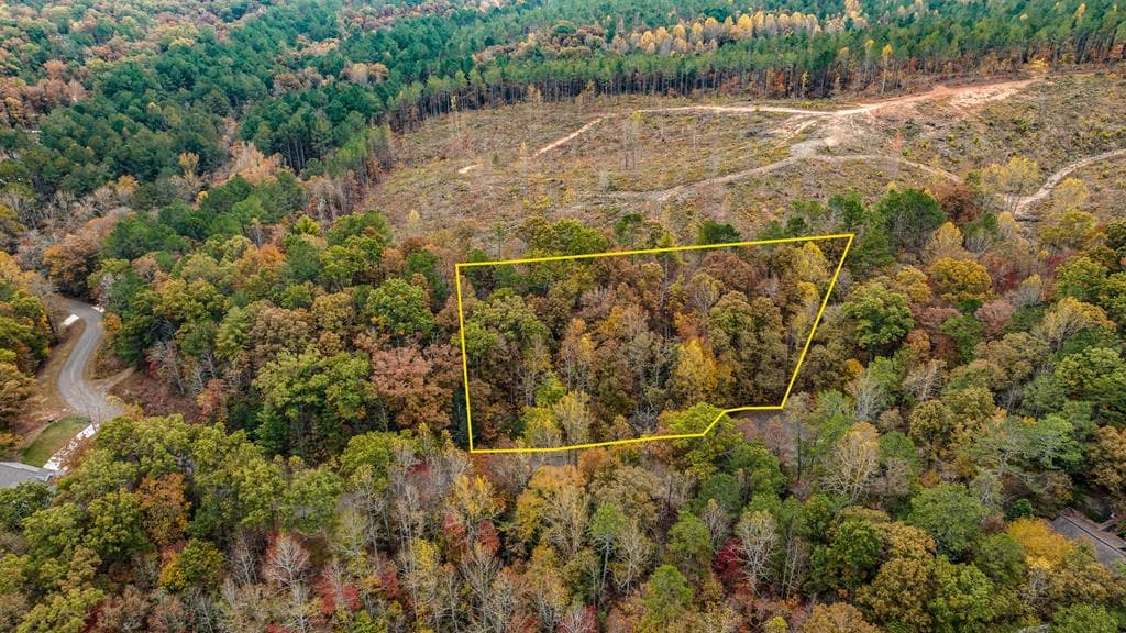 LOT 48 Lower Creek Trail, Ellijay GA 30540 - Photo