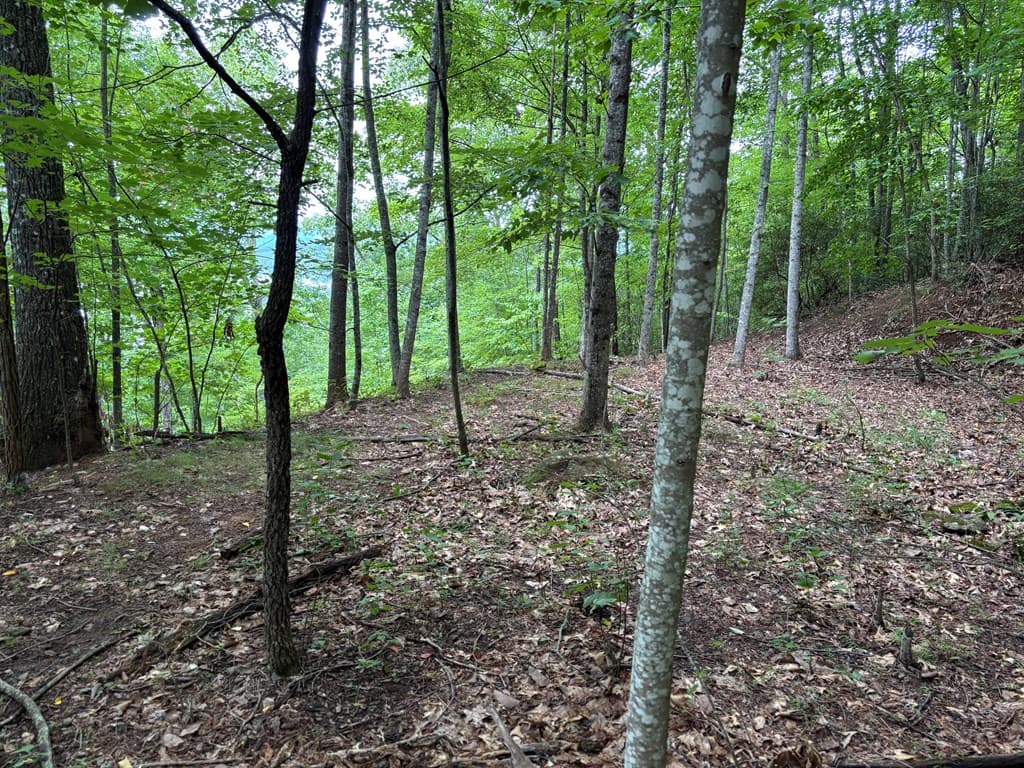 Lot 55 Eagles View, Hayesville NC 28904 - Photo