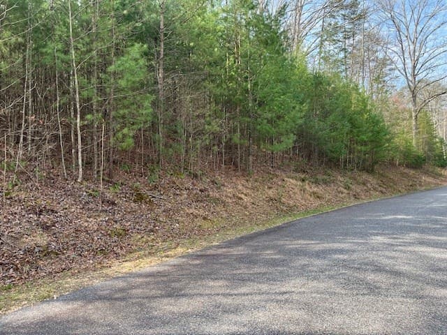 Lot 10 Lower Fox Trail Road, Blairsville GA 30512 - Photo