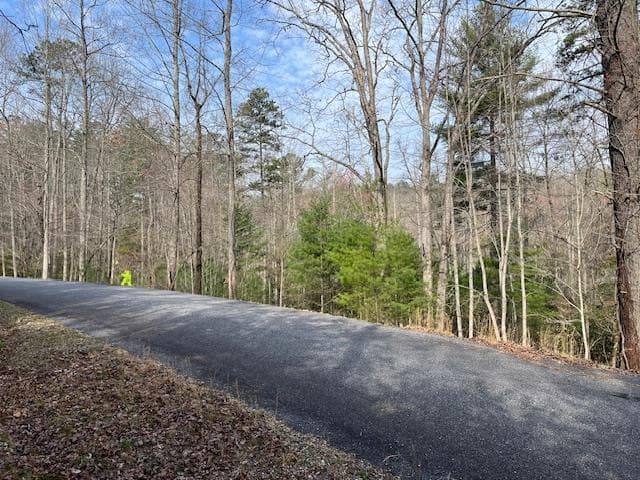 Lot 10 Lower Fox Trail Road, Blairsville GA 30512 - Primary photo