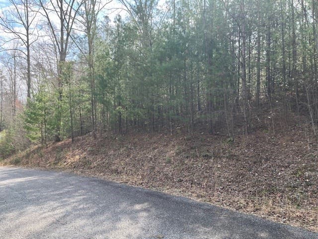 Lot 10 Lower Fox Trail Road, Blairsville GA 30512 - Photo
